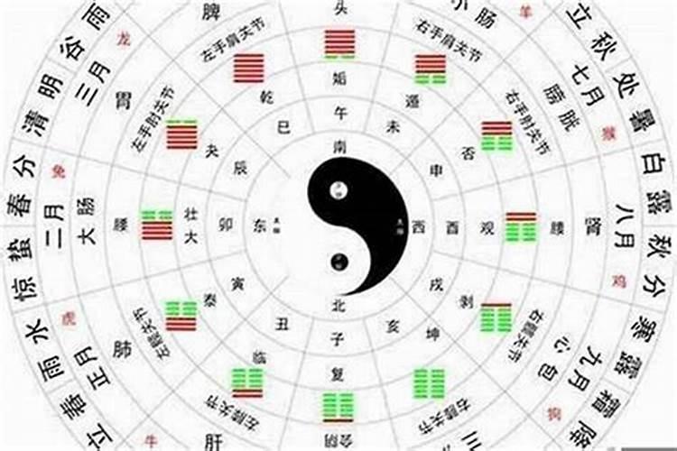 礼字五行属什么和意义