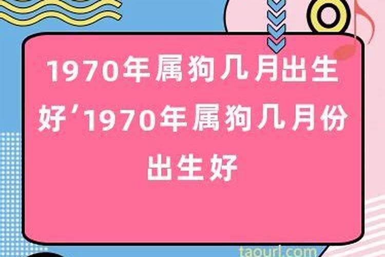 1970年八月属狗是什么命