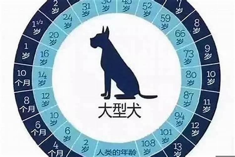 属狗的今年九十几