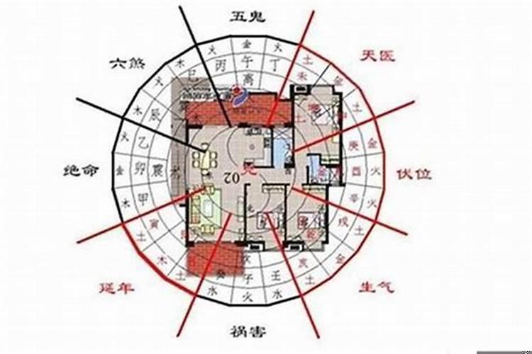 梦见好多蛆虫是什么意思