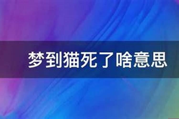 梦见猫死了什么意思周公解梦