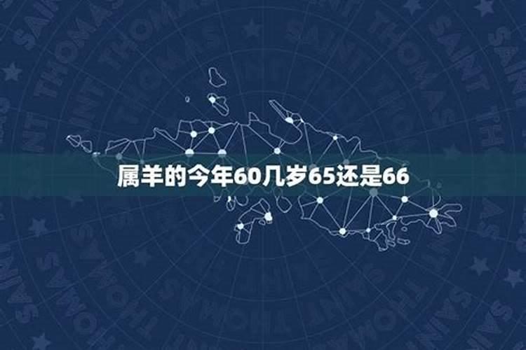 属羊的今年多大岁数60级了