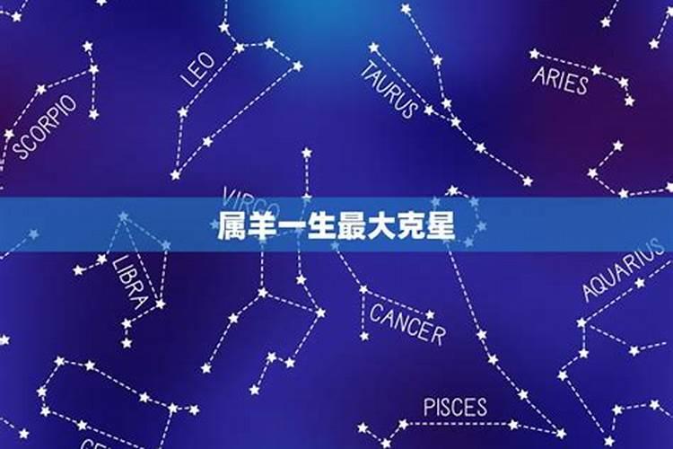 12月1日的星座是什么星座