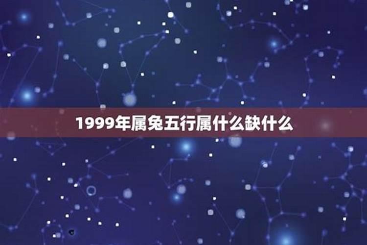 1999年的兔五行属什么