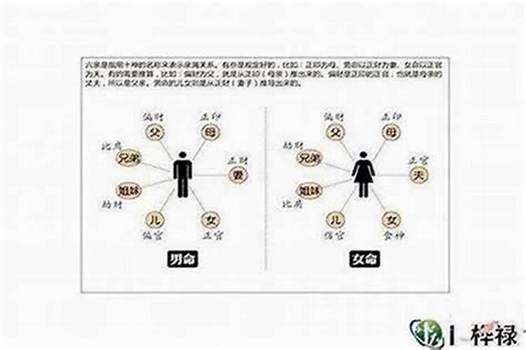 生肖羊相生相克相冲