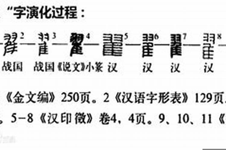 翟字五行属性