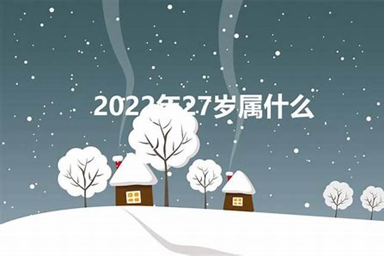 今年27岁属什么生肖的