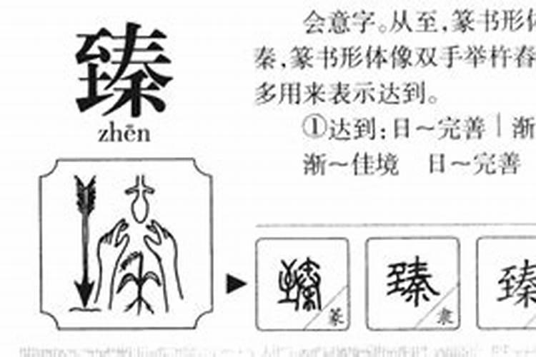 臻字五行属什么的字