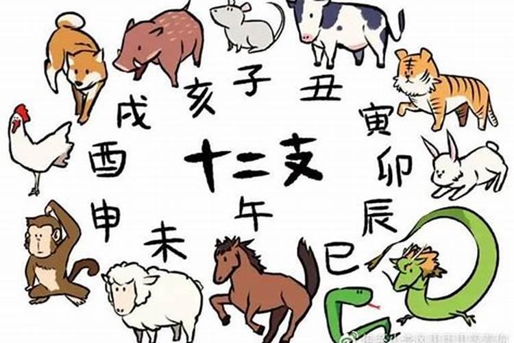 日本也过12生肖年吗