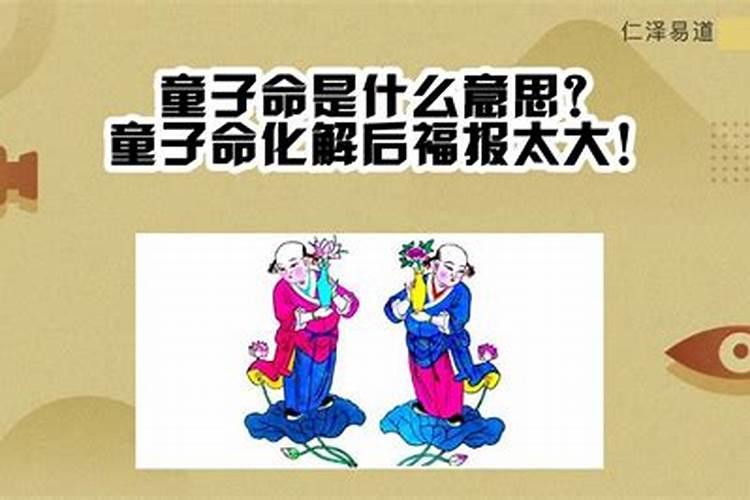 虎年犯太岁生肖