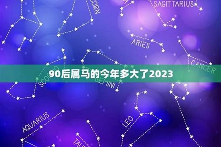 属马的2023多大