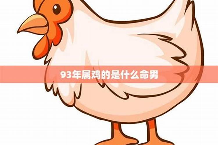 93年属鸡男什么命运