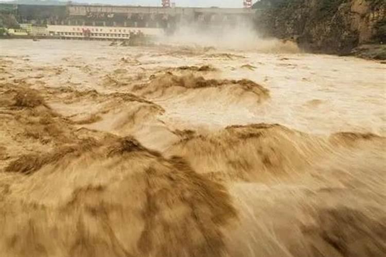 梦见发大水被水冲走又上来了