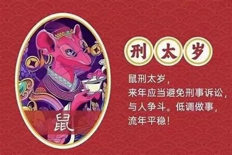 属鼠如何化解鼠年太岁