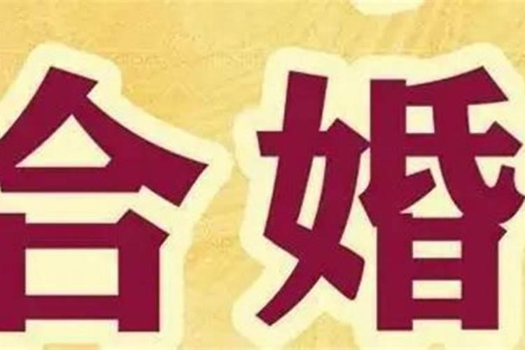 八字看财富级别大小,前两名富可敌国