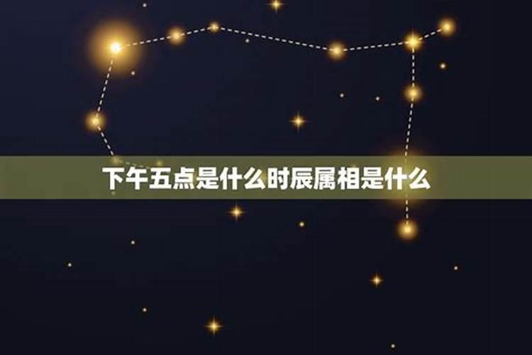 下午5点是属什么