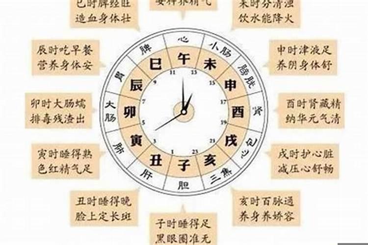 12时辰对应五行属性表一览