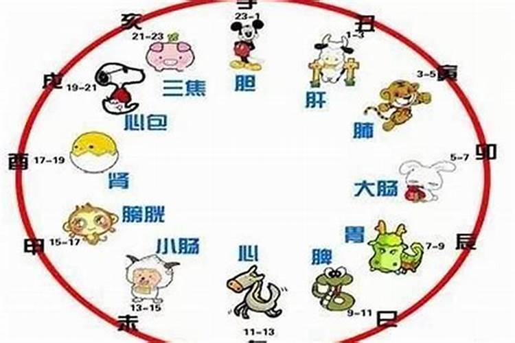 下午5点到7点是属什么生肖