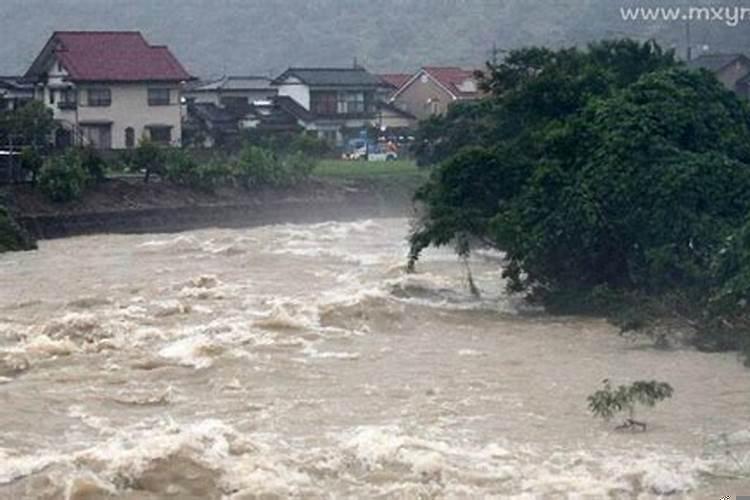 梦见涨大洪水淹死很多人是啥意思