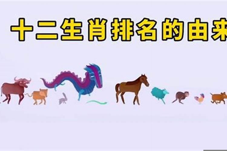 十二生肖里面排行第十是什么意思