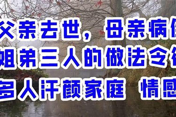 梦见鸭子是什么意思周公解梦梦见蛇