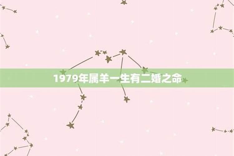 属羊人今年的运程和婚姻如何1979年的