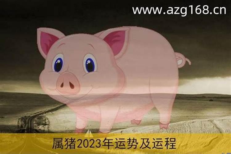 2023年的立秋是几月几号几点