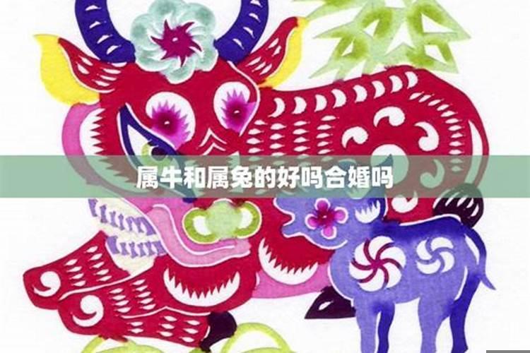 冬至这天祭祀代表什么意思