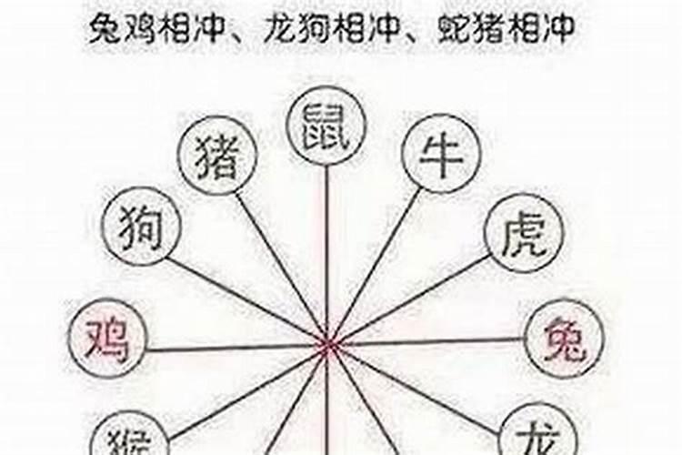 老鼠和什么属相相冲