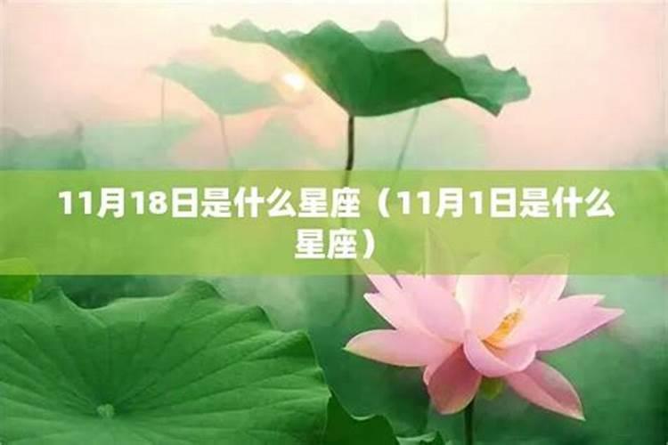 十一月18日是什么星座男