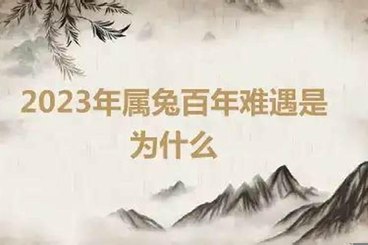 2023年是什么兔五行属什么