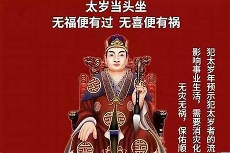 23岁属什么生肖今年运势