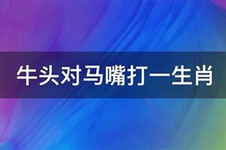 牛头马嘴是什么生肖谢谢