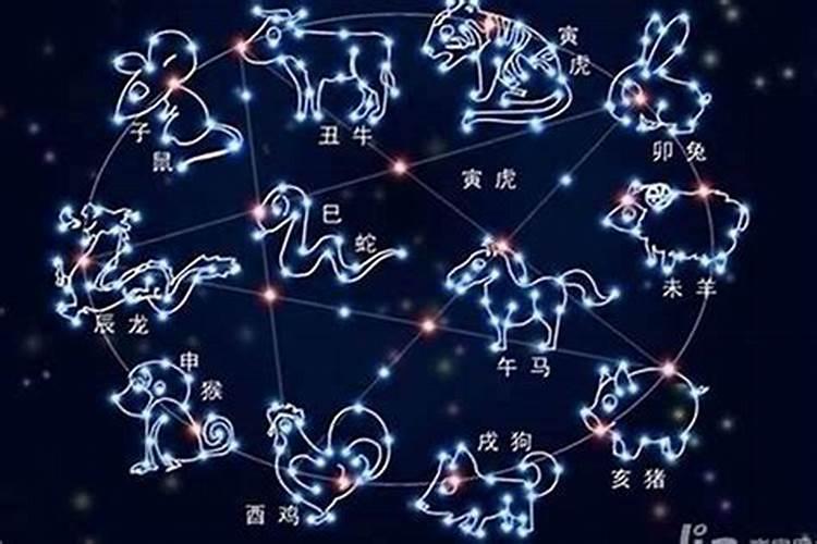 十二生肖的十二星座是什么意思