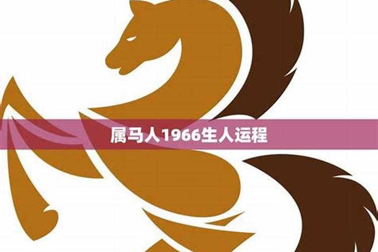 66年属马人2023年运势