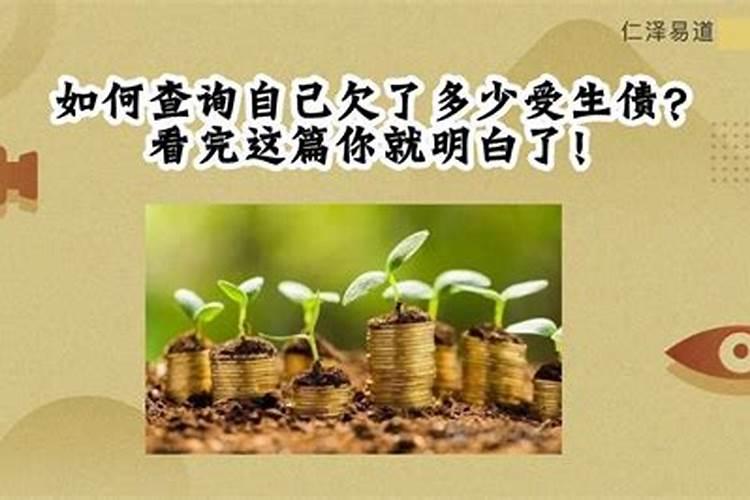 属猴的2023年2月25号的运势如何