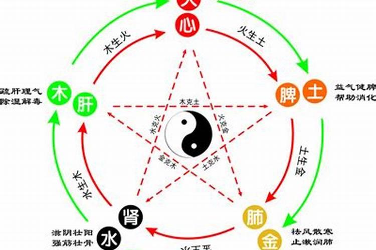 绍字的五行属性是什么