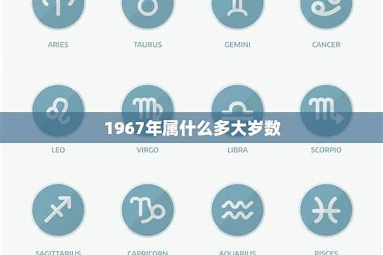 1966年出生的今年多大属什么