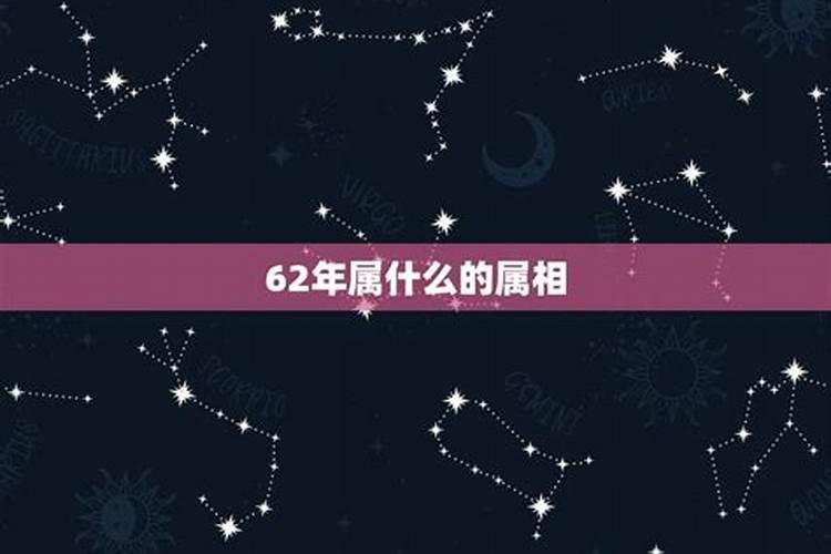 62年属什么生肖多少岁2021