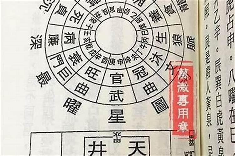 什么是藤萝系甲的八字