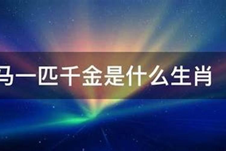 千金生肖是什么生肖