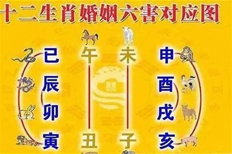 今天是什么日子老黄历属什么2018