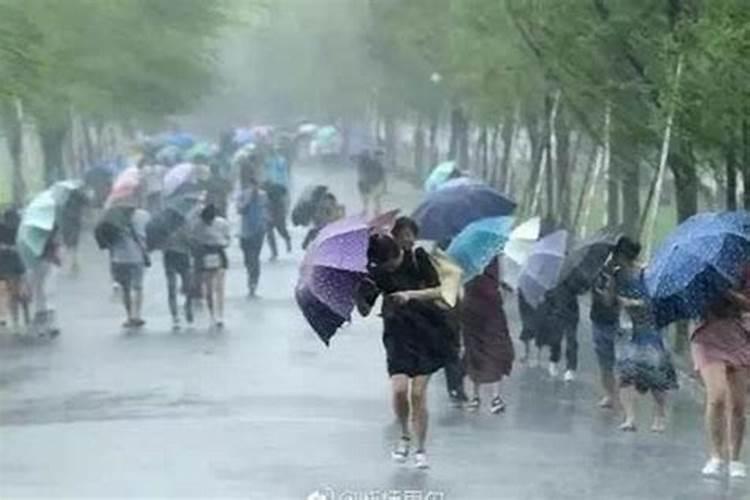 梦见刮台风下大雨是什么意思