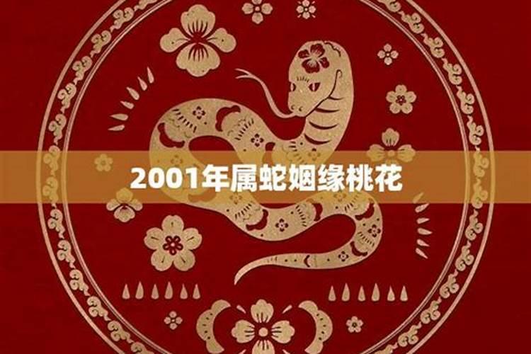 2001蛇男2000龙女婚配