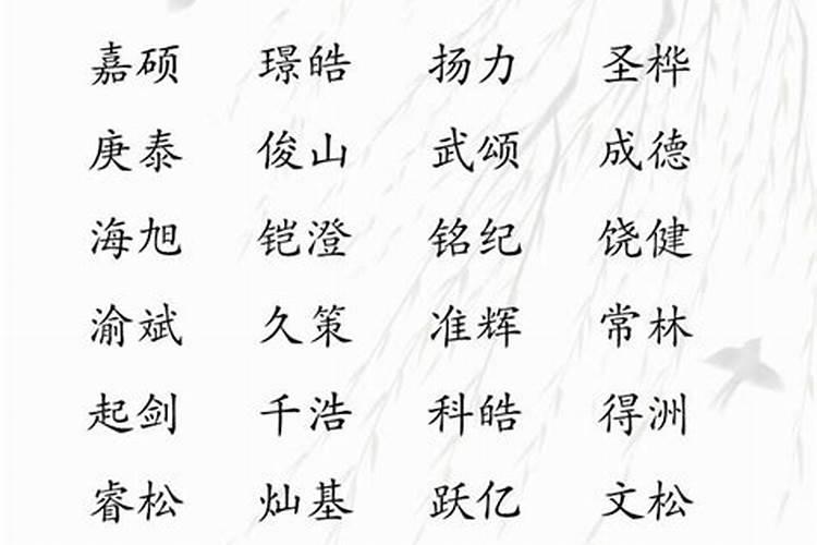 男宝属鸡起什么名字好