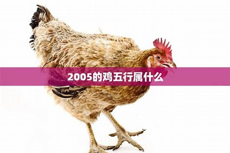 2005属鸡的五行属什么