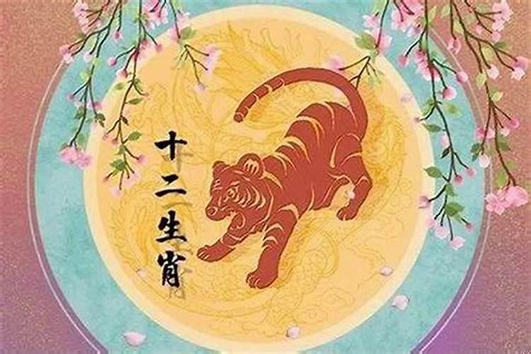 属虎的今年多大了48属什么