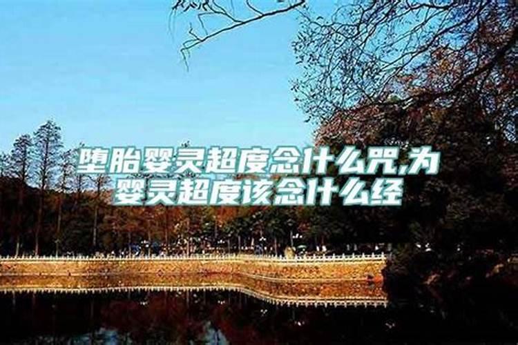 1079年属什么生肖