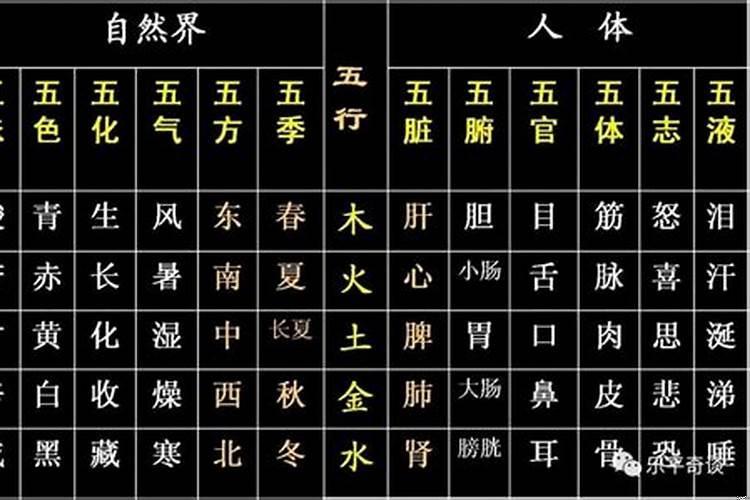 友字属于五行属什么行