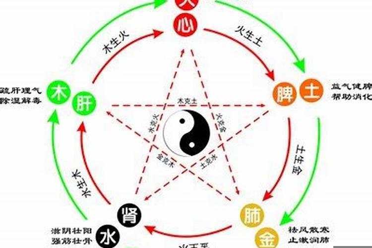 友的五行属性属什么